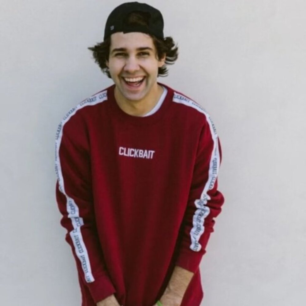 David Dobrik Clickbait Sweatshirt Size 2XL